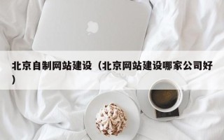 来宾北京自制网站建设（北京网站建设哪家公司好）